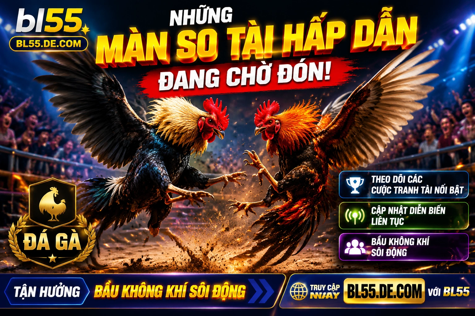 Casino live BL55