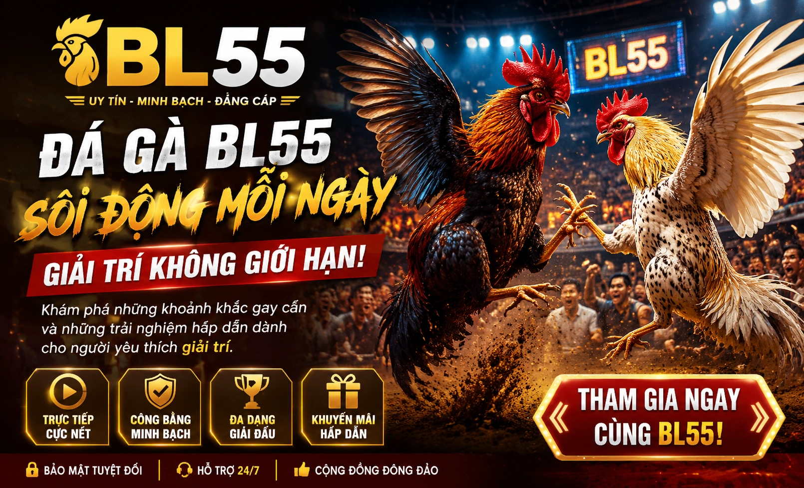 BL55 Đá Gà live trên giao diện card trận