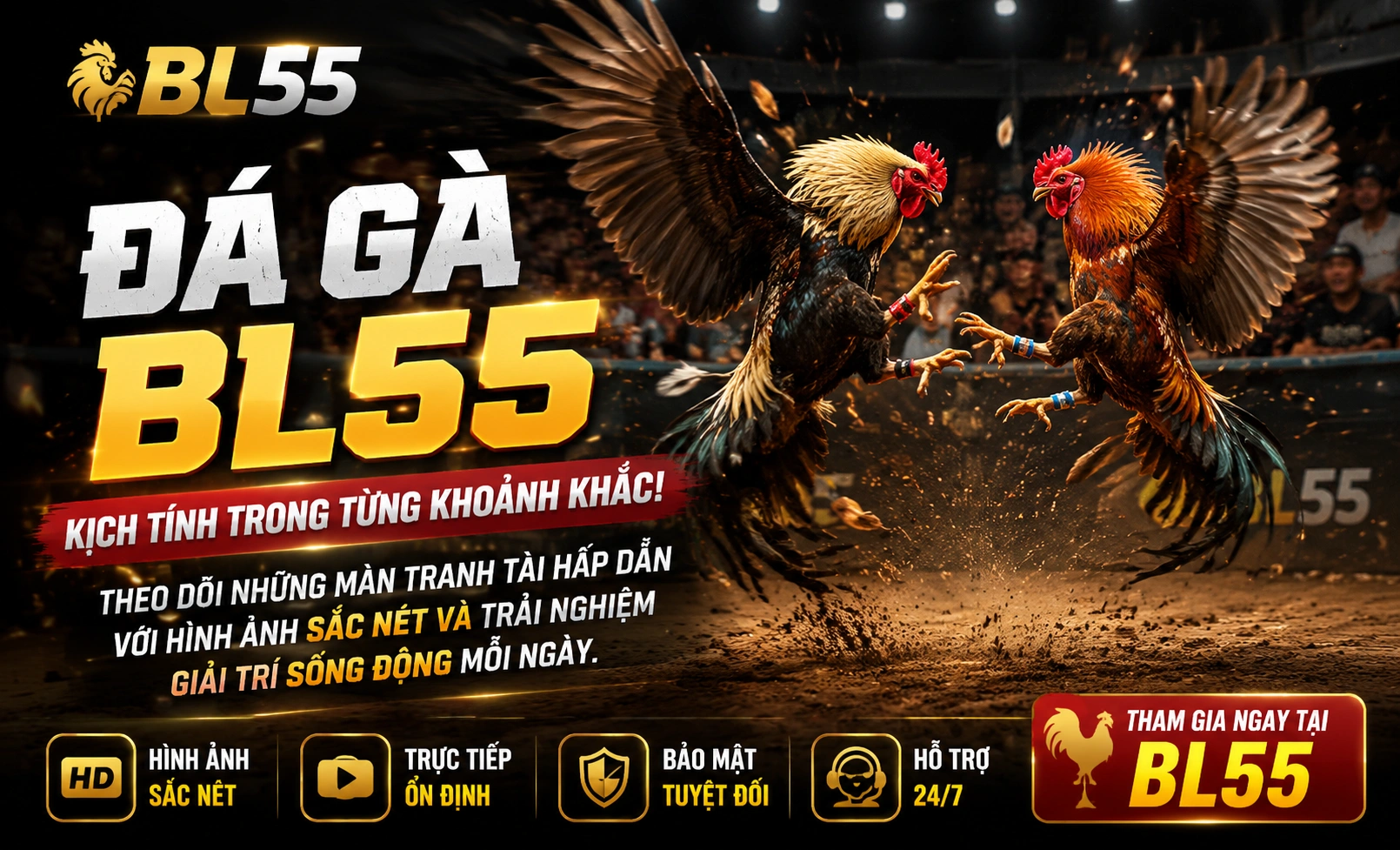 Màn hình Đá Gà BL55 với bố cục gọn
